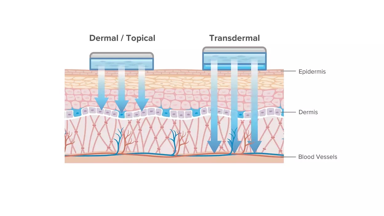 Patches with transdermal or topical delivery route